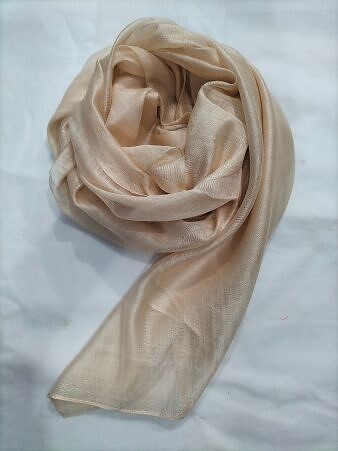 Plain Organza Dupatta - Fawn